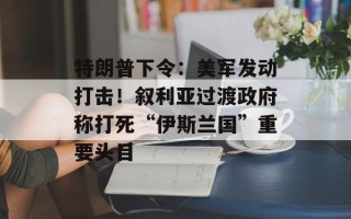 特朗普下令：美军发动打击！叙利亚过渡政府称打死“伊斯兰国”重要头目
