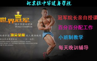 专业健身教练,职业技能与选择策略-健身指导全解析