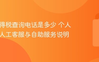 个人所得税查询电话是多少 个人所得税人工客服与自助服务说明