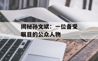 揭秘孙文斌：一位备受瞩目的公众人物