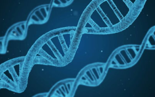 直真科技,创新技术引领行业-综合解决方案深度解析