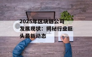 2025年区块链公司发展现状：揭秘行业巨头最新动态