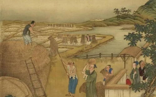 通房娇宠：古代背景小说中的情感纠葛与地位分析