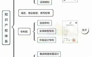电视剧全集免费观看技巧与合法途径解析