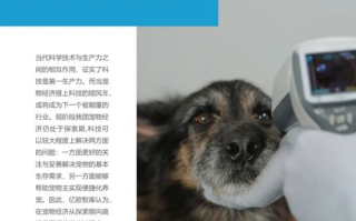 宠物关爱全攻略-让爱宠生活宠翻天