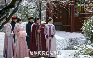《步步惊心》电视剧深度解析-剧情背景与角色塑造