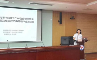 江苏省科技厅,科技创新推动者-地方经济发展新引擎