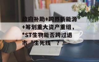 政府补助+跨界新能源+筹划重大资产重组，*ST生物能否跨过退市“生死线”？