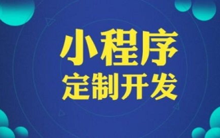 金枝看剧小程序,便捷观影新体验-功能解析与优化策略