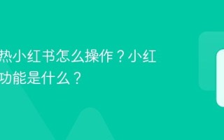 薯条加热小红书怎么操作？小红书薯条功能是什么？