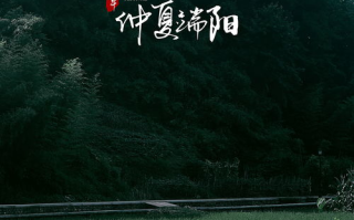 金世佳：实力派演员的多元艺术之旅