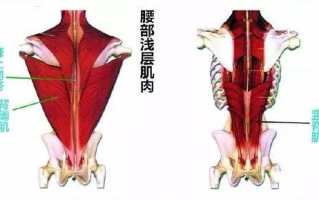 腰肌劳损自我治疗与恢复策略-全面指南