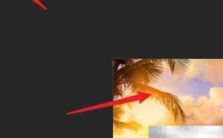Photoshop圆角工具位置指南