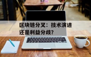 区块链分叉：技术演进还是利益分歧？