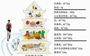 健康饮食生活,打造健康体魄-饮食习惯优化策略