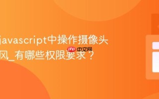 如何在javascript中操作摄像头和麦克风_有哪些权限要求？