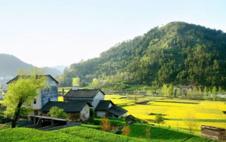 探索乡村春韵-田园风光与生活情趣
