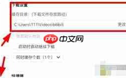 哔哩哔哩怎么修改下载文件保存路径