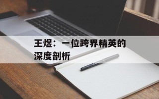 王煜：一位跨界精英的深度剖析