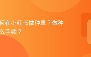 旅游如何在小红书做种草？做种草要什么手续？