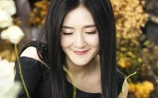 花房姑娘免费大全，资源精选指南-轻松获取高品质内容