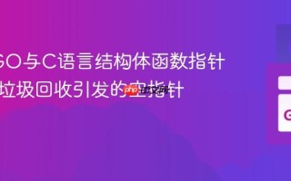 Go CGO与C语言结构体函数指针：避免垃圾回收引发的空指针问题