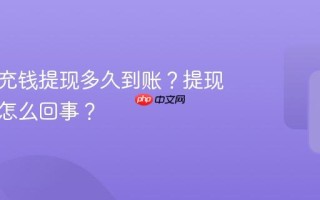 小红书充钱提现多久到账？提现没到账怎么回事？