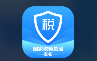 个人所得税查询系统 官方网站快速登录入口
