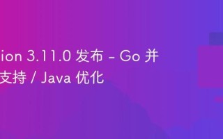 ip2region 3.11.0 发布 - Go 并发安全支持 / Java 优化