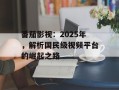 番茄影视：2025年，解析国民级视频平台的崛起之路
