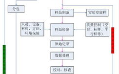 《中国好声音》冠军,音乐才华的巅峰展现-选手成长路径解析