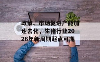 政策、市场促进产能加速去化，生猪行业2026年新周期起点可期