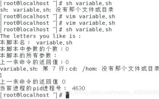 《天空之城》简谱解读与演奏技巧-音乐爱好者指南