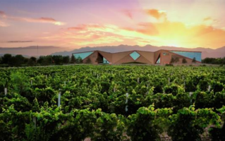 中国酿酒葡萄园碳汇交易首单落地！中粮长城天赋酒庄引领产业“绿色价值”