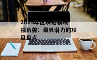 2025年区块链领域独角兽：最具潜力的项目盘点
