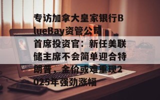 专访加拿大皇家银行BlueBay资管公司首席投资官：新任美联储主席不会简单迎合特朗普，金价或难重现2025年强劲涨幅