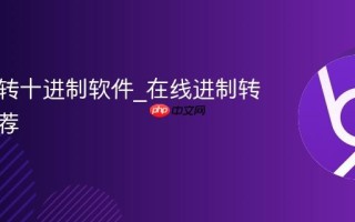 二进制转十进制软件_在线进制转换器推荐