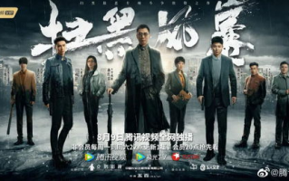 扫黑风暴,社会安定维护的关键-深度解析与策略分析
