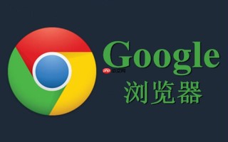 谷歌浏览器官方网页版Chrome 131-谷歌浏览器最新版安全更新入口