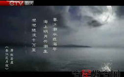月夜影视在线观看免费完整版-高清影视资源解析