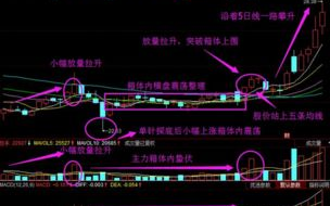 2019年智能手机中文字幕功能解析-提升观影体验与无障碍支持