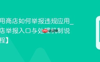 台电应用商店如何举报违规应用_应用商店举报入口与处理机制说明【教程】