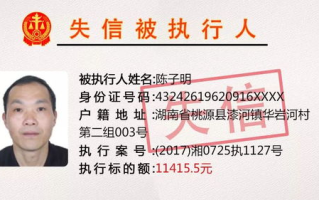 小时代,个人成长-把握生活节奏与科技融合之道