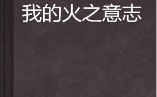火影忍者：火之意志的传承与力量-一部经典动漫的精神内核解析