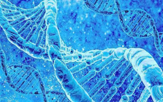 母亲与儿子DNA相似性解析-遗传特征与亲子关系探究