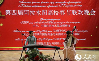 春节联欢晚会,中国文化的年度盛宴-传统与现代的融合解析