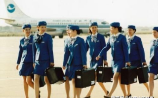 空姐电影，浪漫与悬疑的完美融合-航空题材电影解析