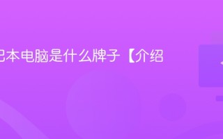DY笔记本电脑是什么牌子【介绍】
