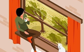 胡可：多维才华的闪耀明星，个人资料大揭秘！