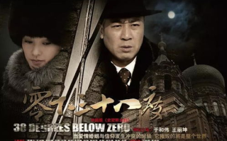 青春期电视剧免费观看，探索成长之路-青春记忆解析